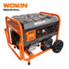Máy phát điện 3000W Wokin 791255